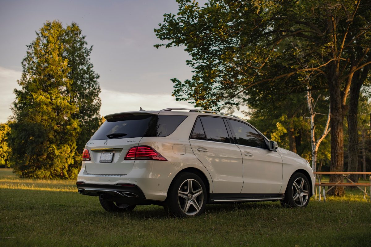 A white car park on a grass under a shade of a tree.